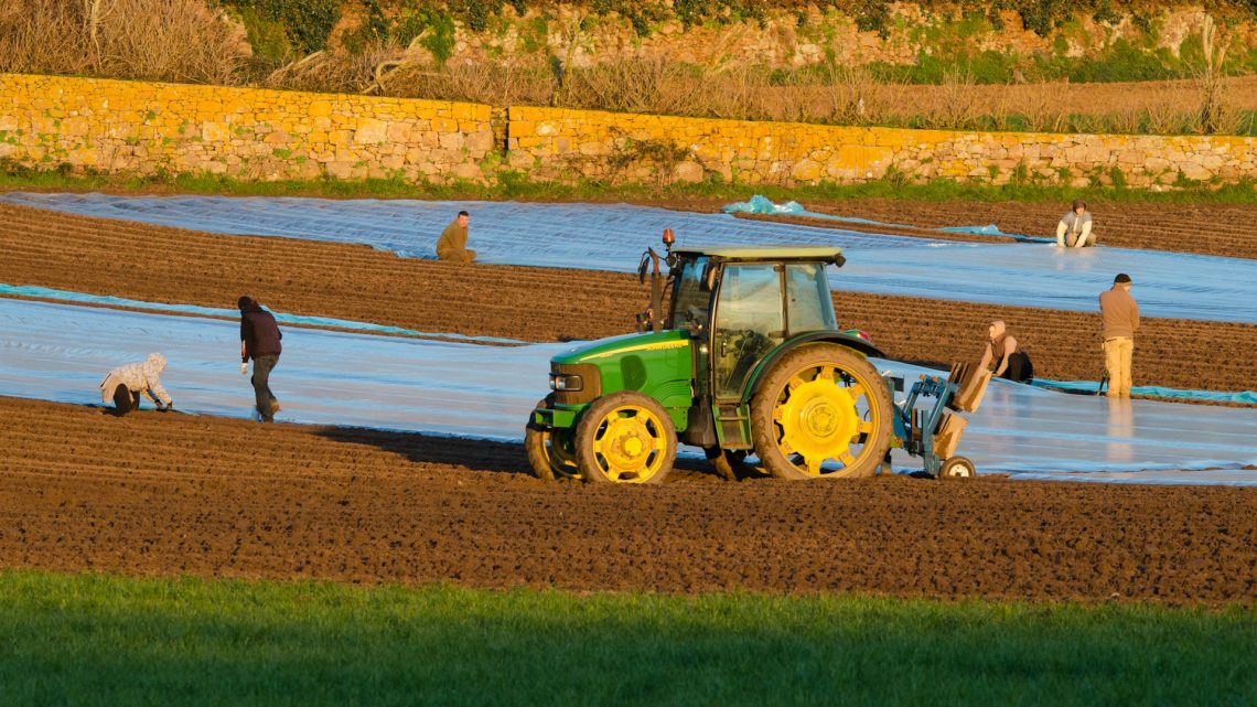 Vittia: Uma Referência em Biotecnologia para a Agricultura Brasileira