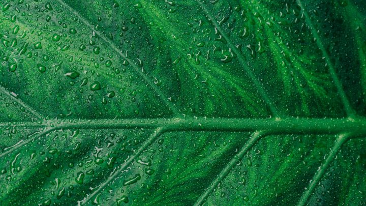 Petrobras iniciará produção de hidrogênio verde em 2026 no RN